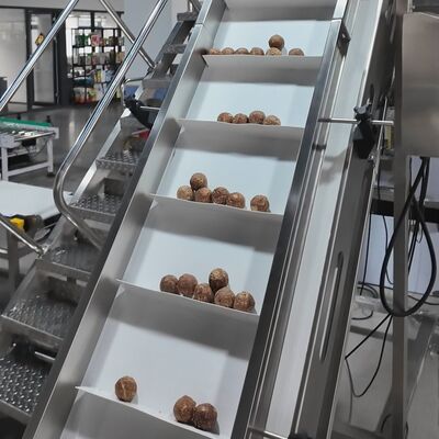 Pet Snacks, Chew Balls, Cat Food, Dog Food, and Animal Feed Rotary Packaging Machine
