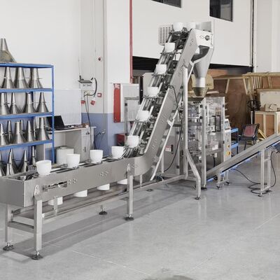 Automatic Vertical Packing Machine for Jellyfish with Bowl Conveyor