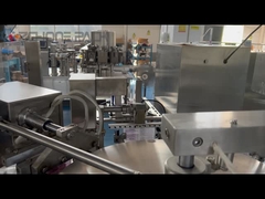 গ্রানুল রোটারি প্যাকেজিং মেশিন কটন সোয়াব আইস কিউব লাইন ডাম্পলিং চিকেন উইংস