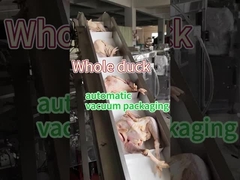 মাংস ফ্রিজড ফুড প্যাকেজিং মেশিন খাদ্য গ্রেড স্টেইনলেস স্টীল 304/316 ভ্যাকুয়াম সংরক্ষণ সীল