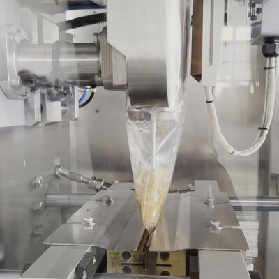 Automatic Vertical Packing Machine for Jellyfish with Bowl Conveyor